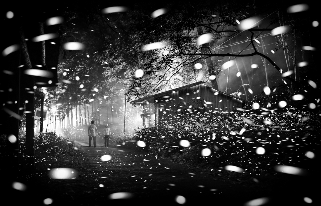 Fireflies flying