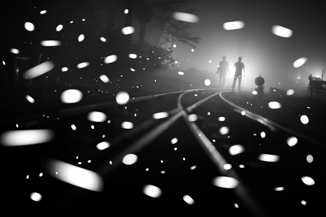 Fireflies flying