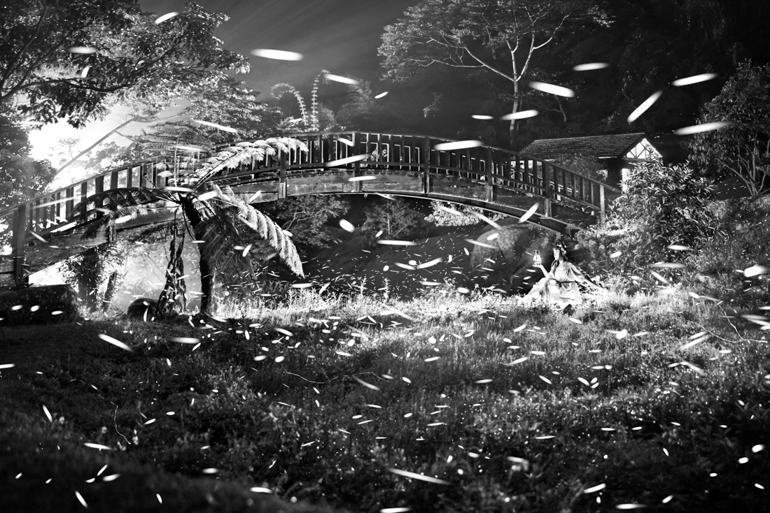 Fireflies flying