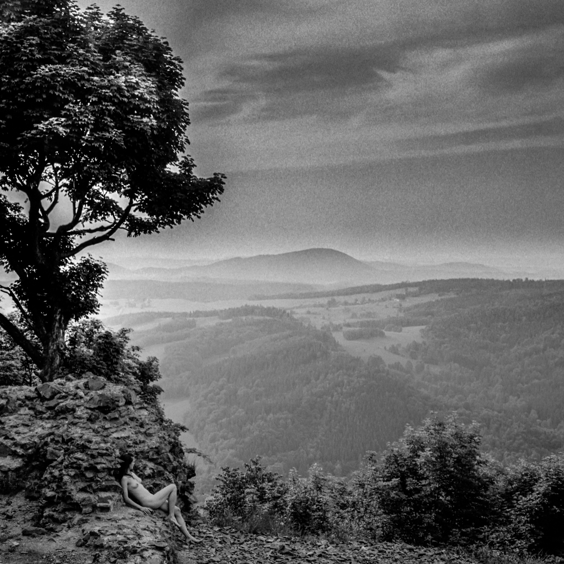 Scapes