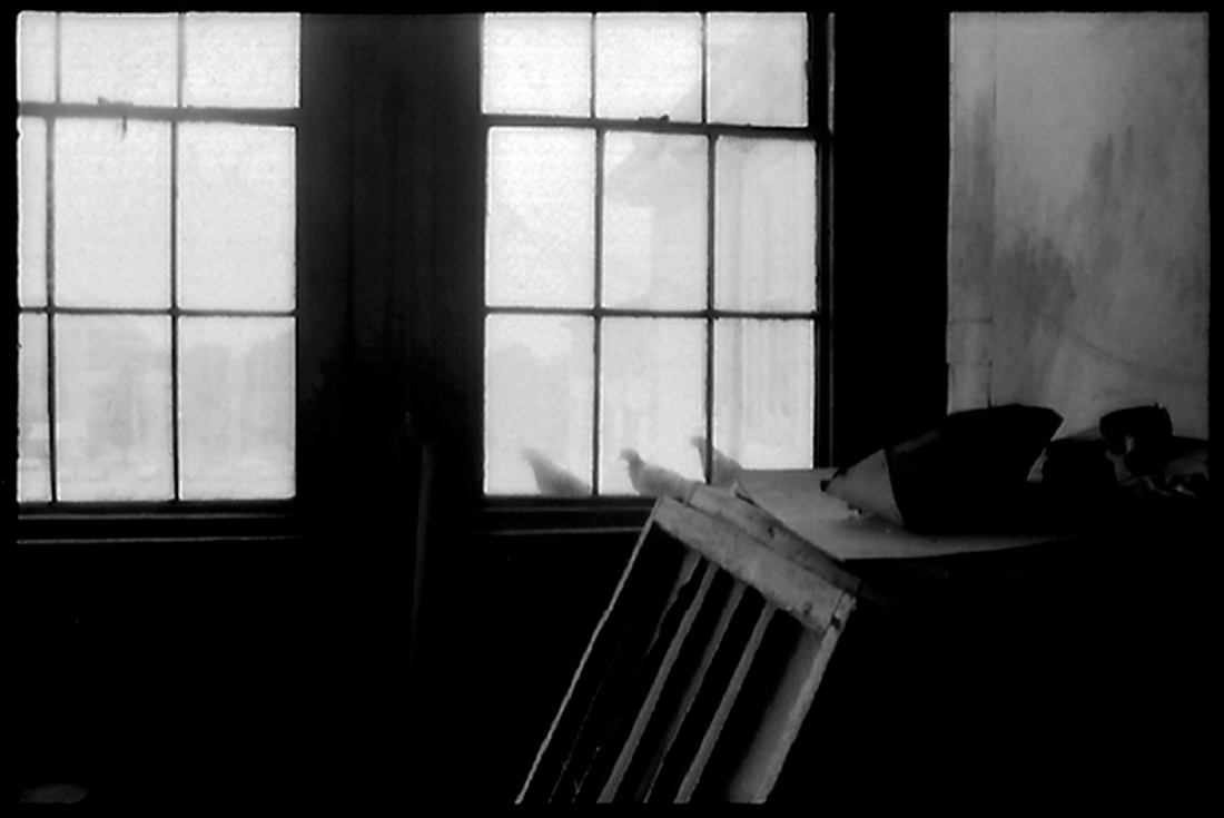 The Crappy Negatives Series