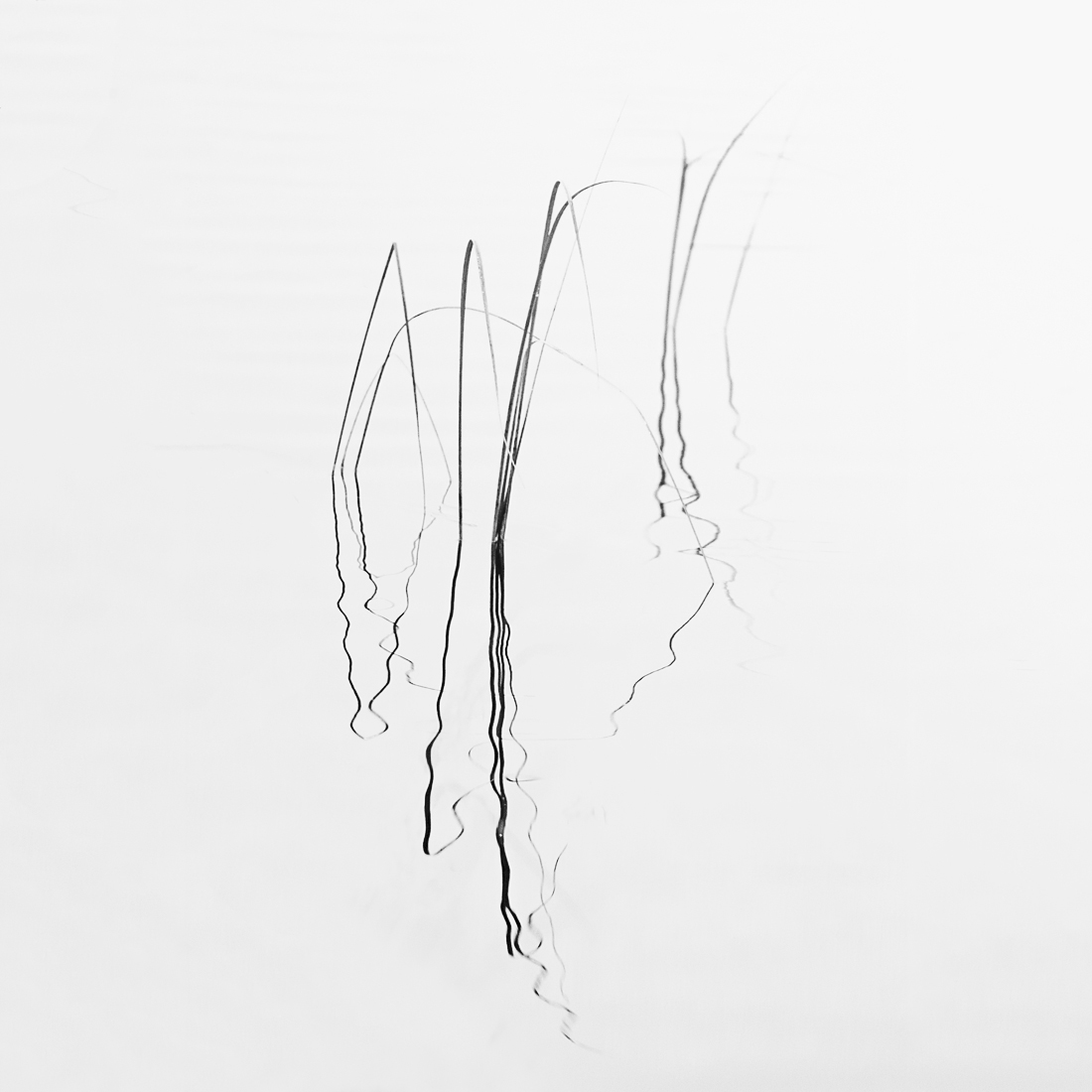 Lake Calligraphy