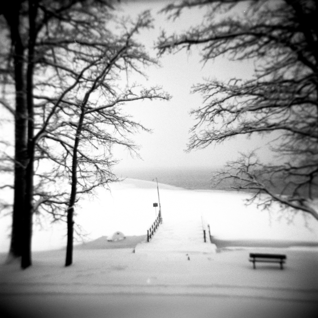 Cold Bench