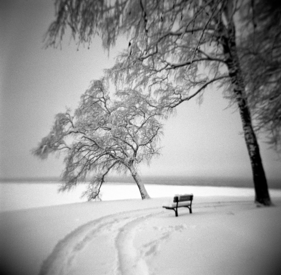 Cold Bench
