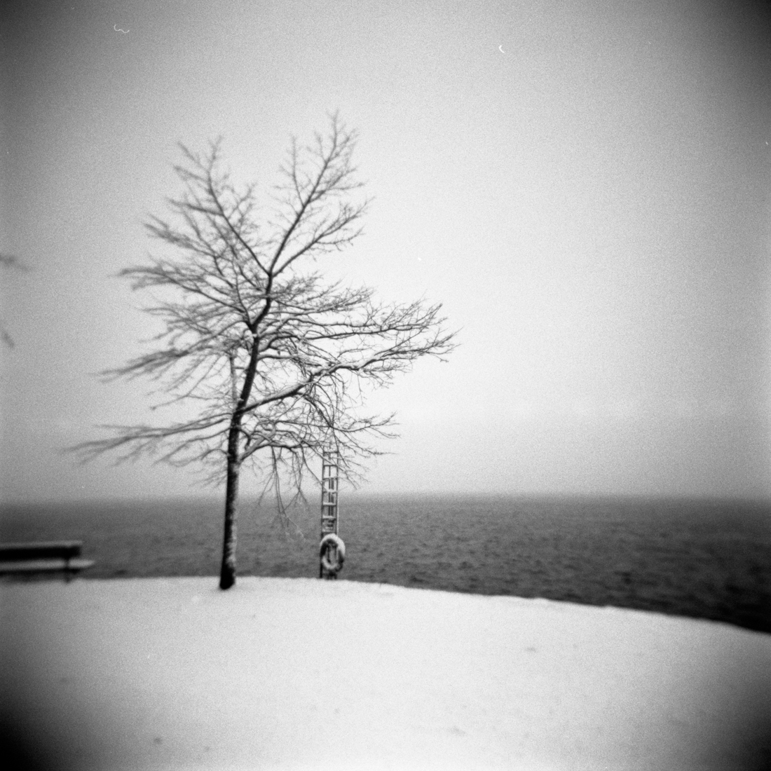 Cold Bench