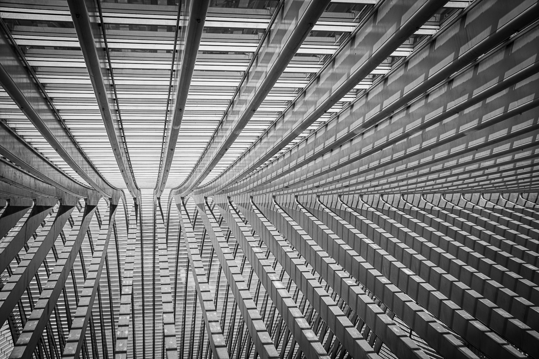 Under the veil