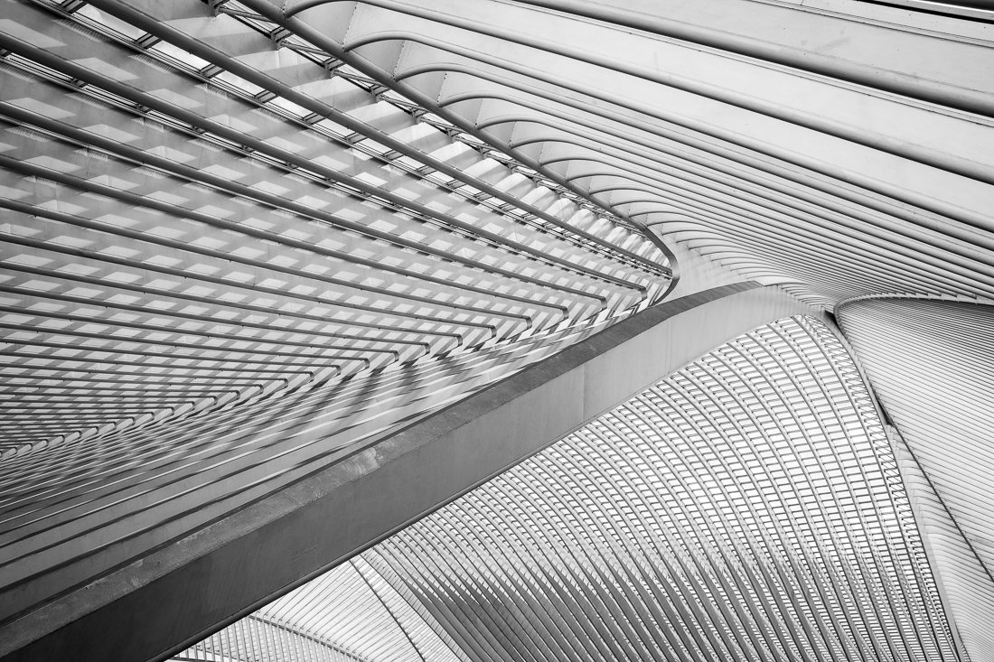 Under the veil