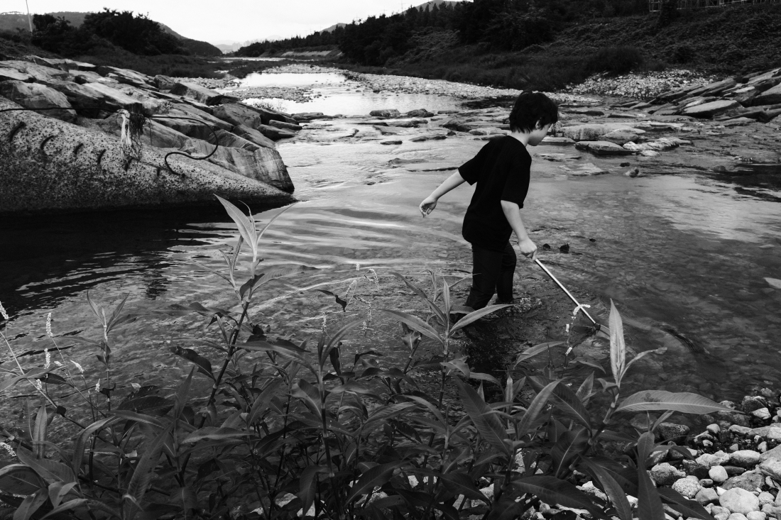 Son's Summer Holidays