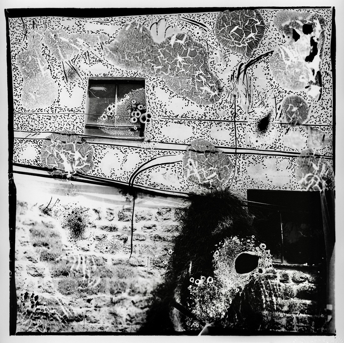 Abused  Film series 