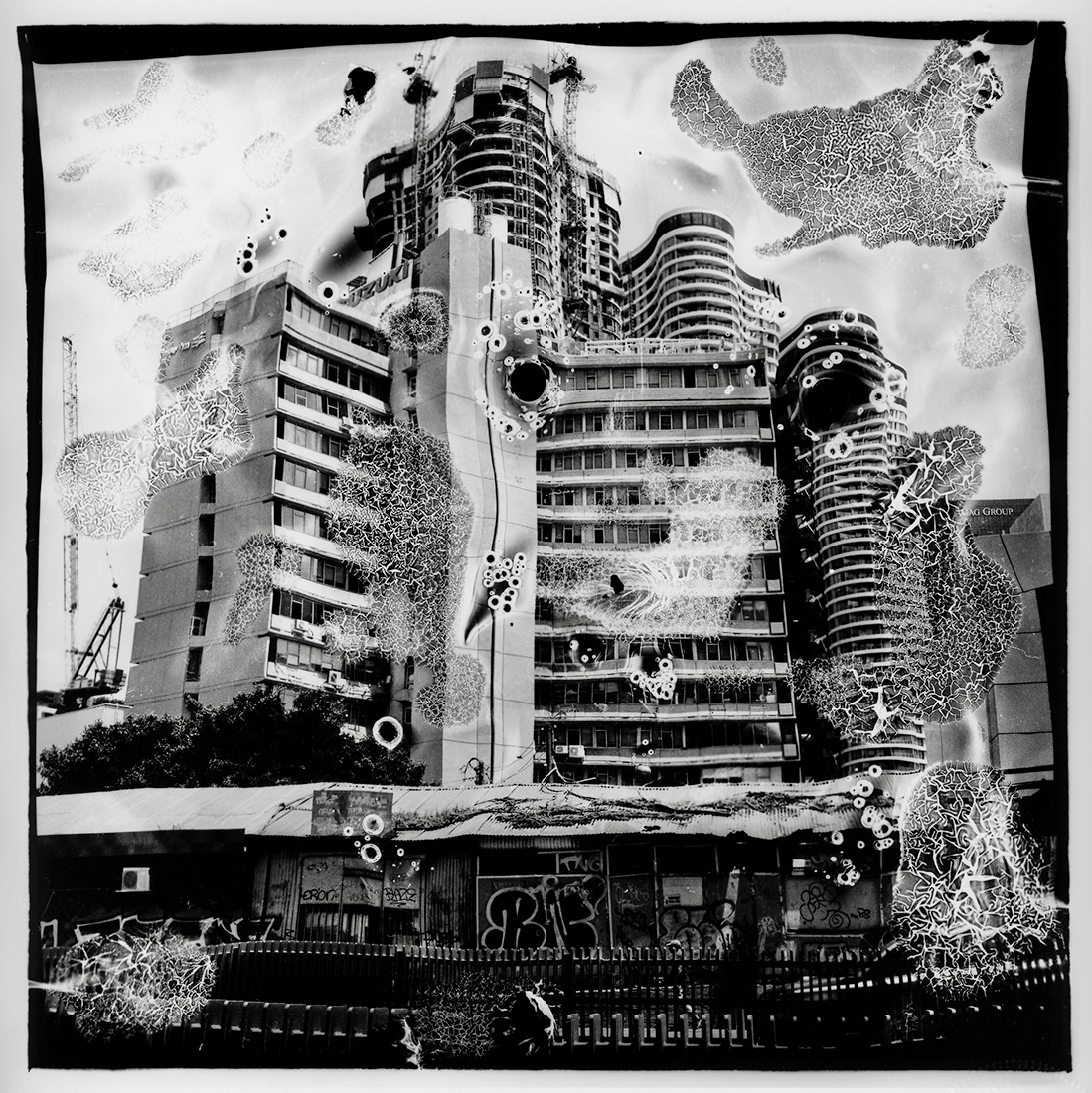 Abused  Film series 
