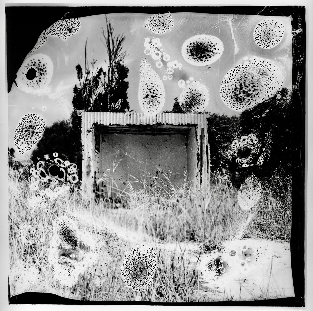 Abused  Film series 