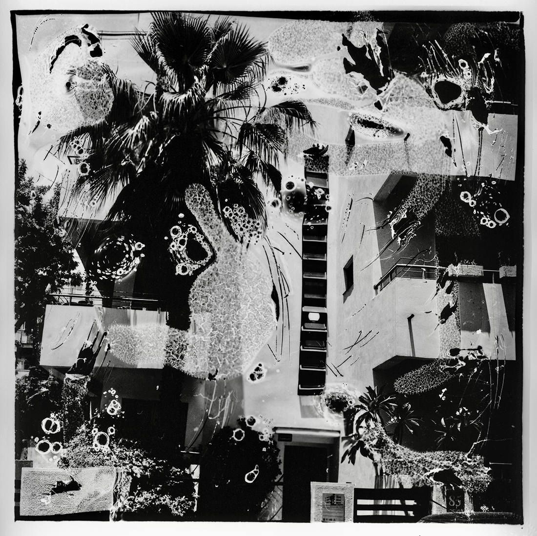 Abused  Film series 