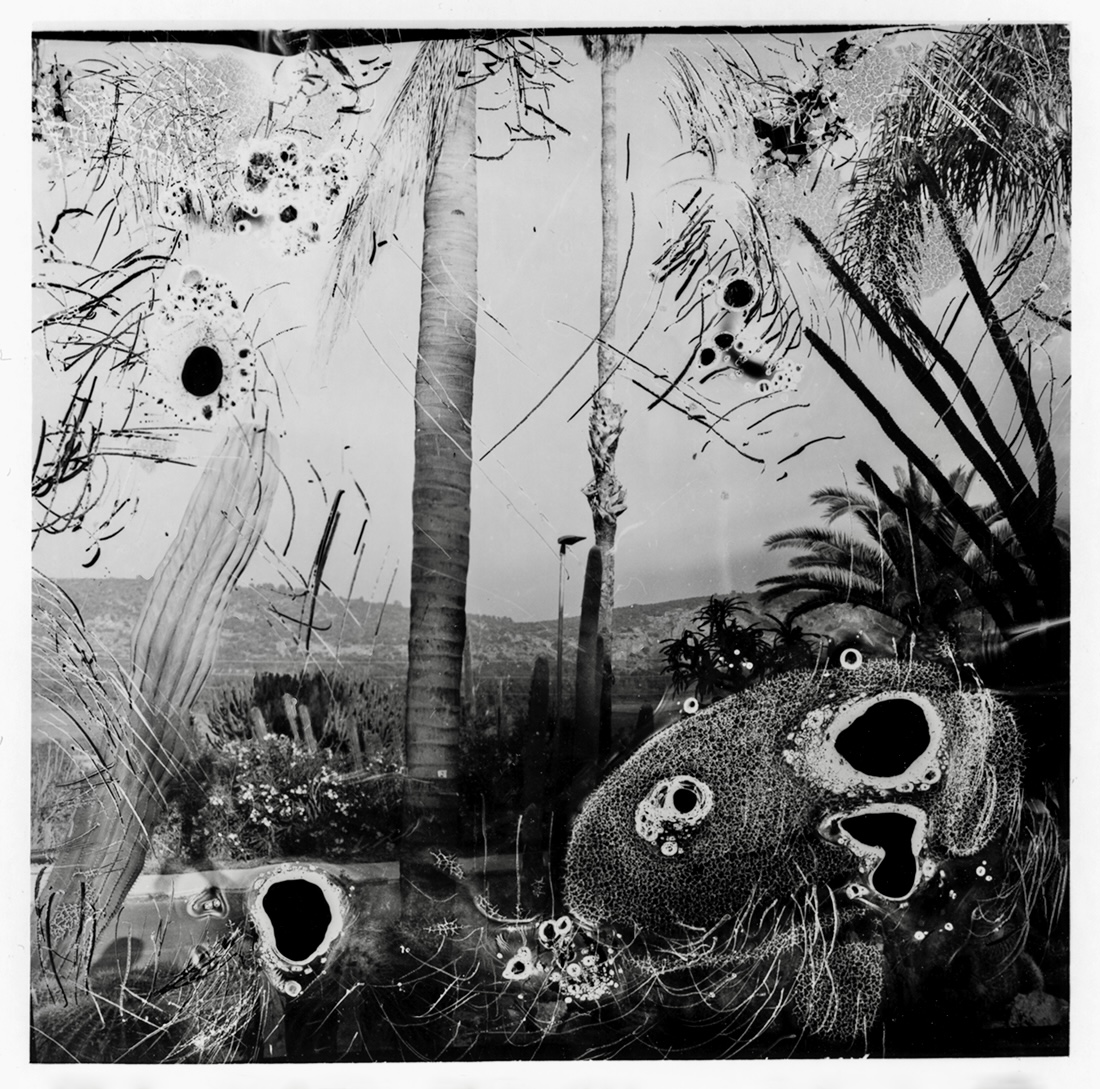 Abused  Film series 