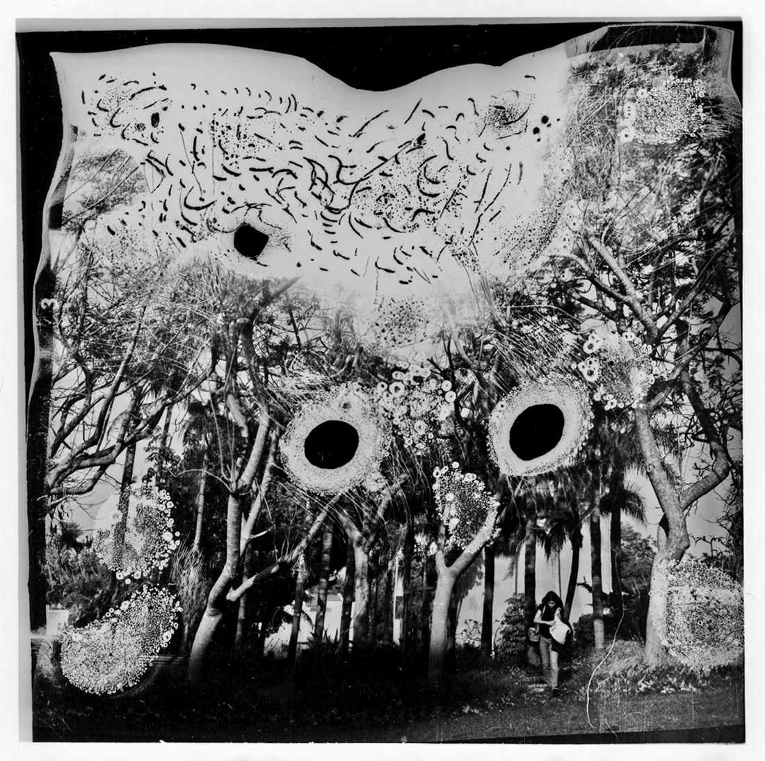 Abused  Film series 