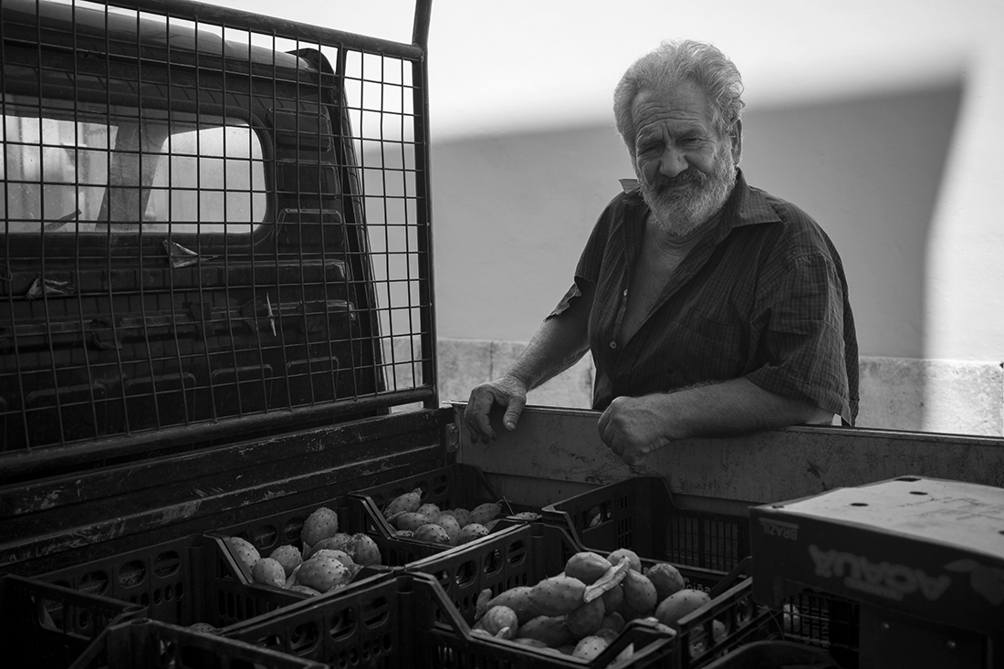 THE SELLER OF PRICKLY PEARS