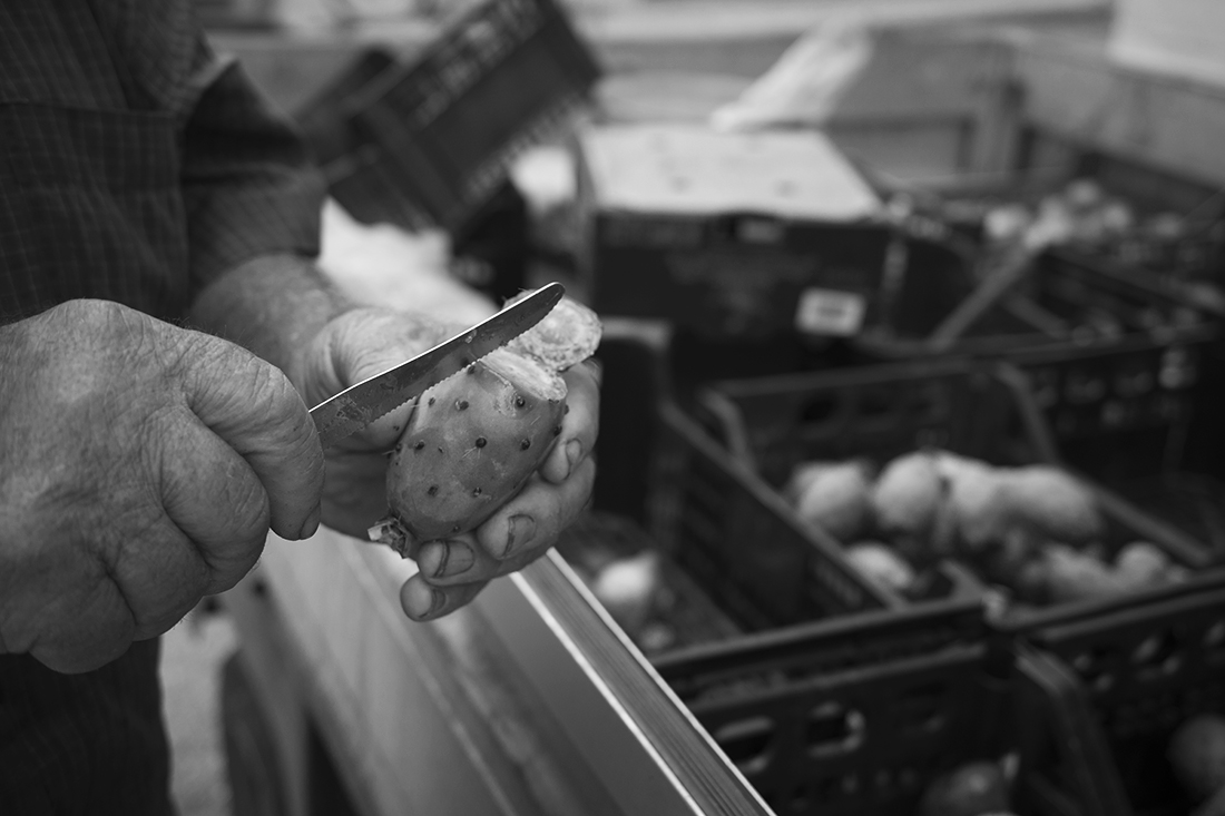 THE SELLER OF PRICKLY PEARS