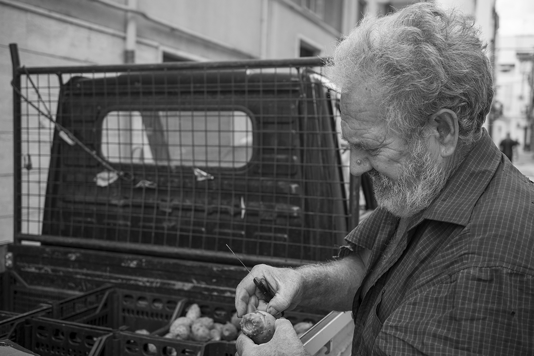THE SELLER OF PRICKLY PEARS
