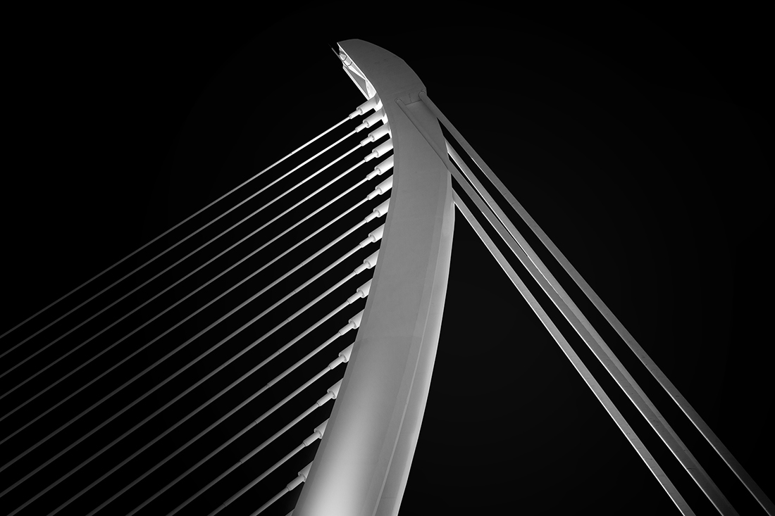 Inside the city of arts and science