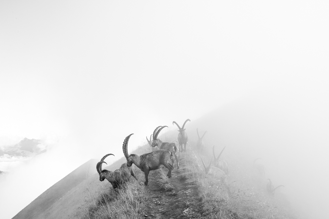 Out of the fog