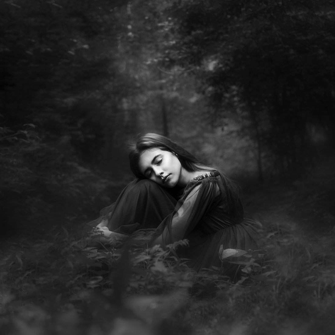 fairytale portraits