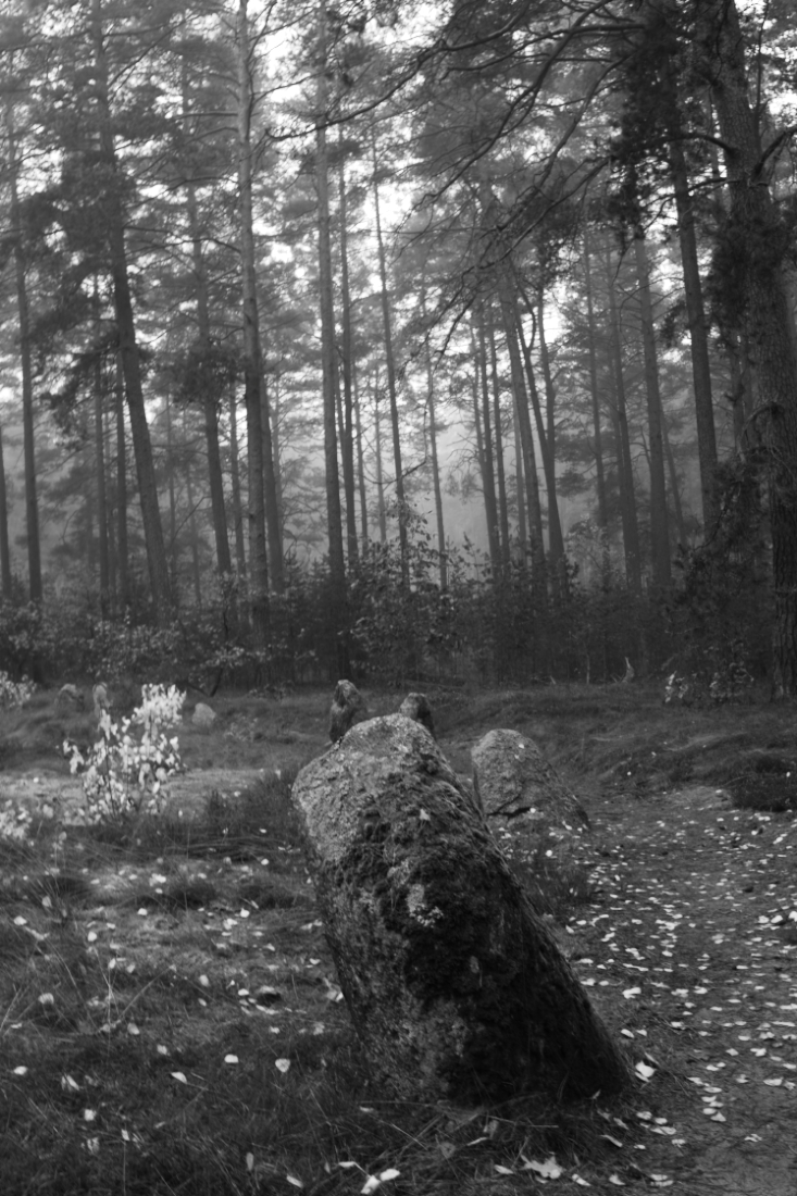 Burial Grounds