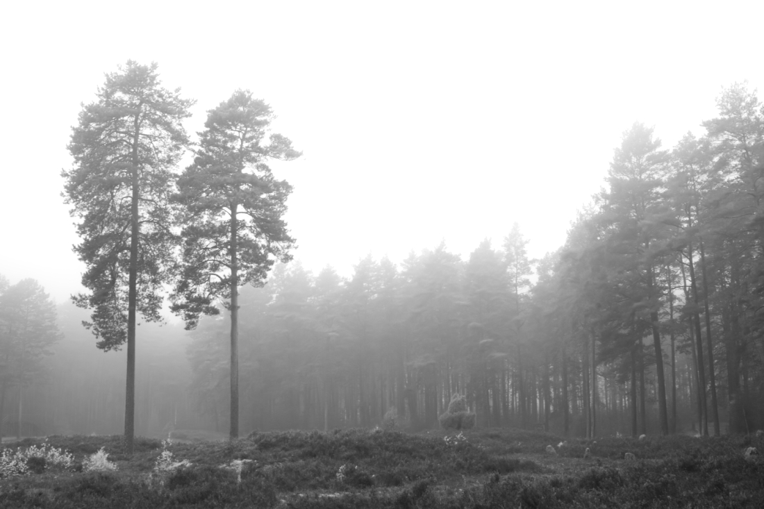 Burial Grounds