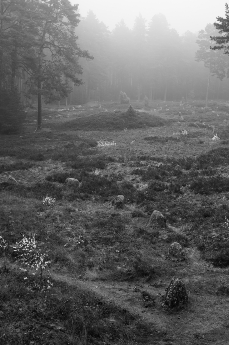 Burial Grounds