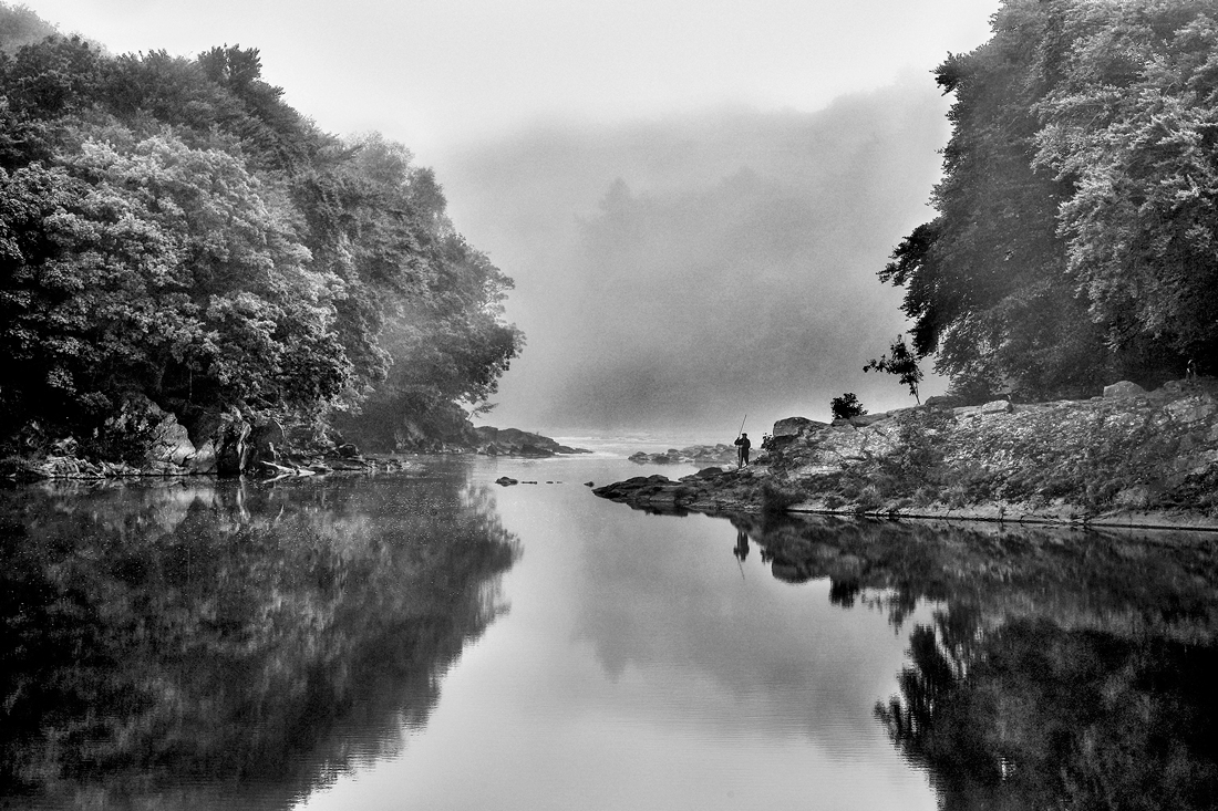 The Salmon Pool