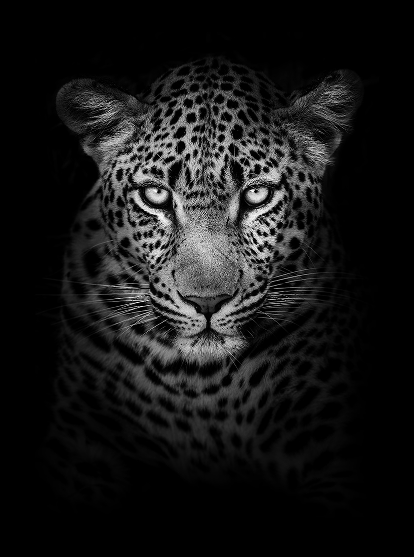BEYOND DARKNESS