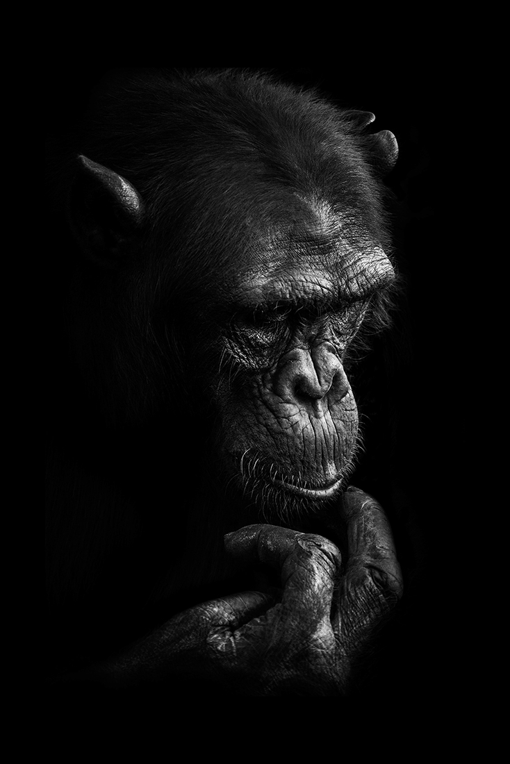 BEYOND DARKNESS