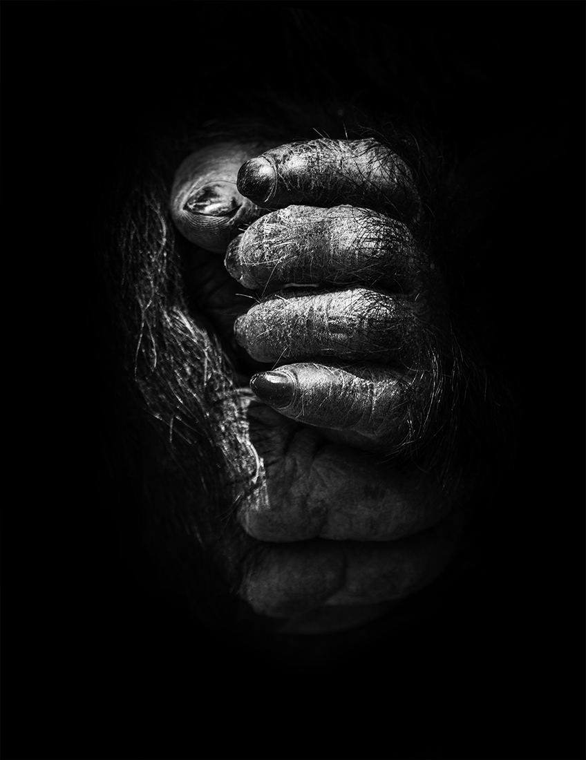 BEYOND DARKNESS
