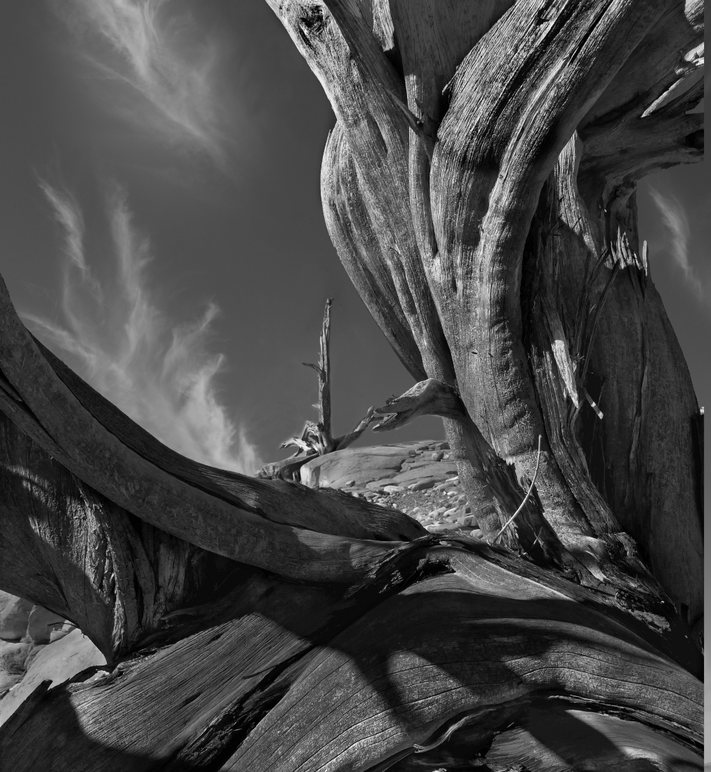 High Desert Statuary