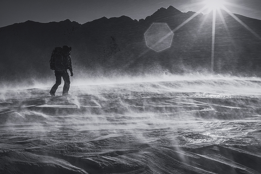 Into the blizzard