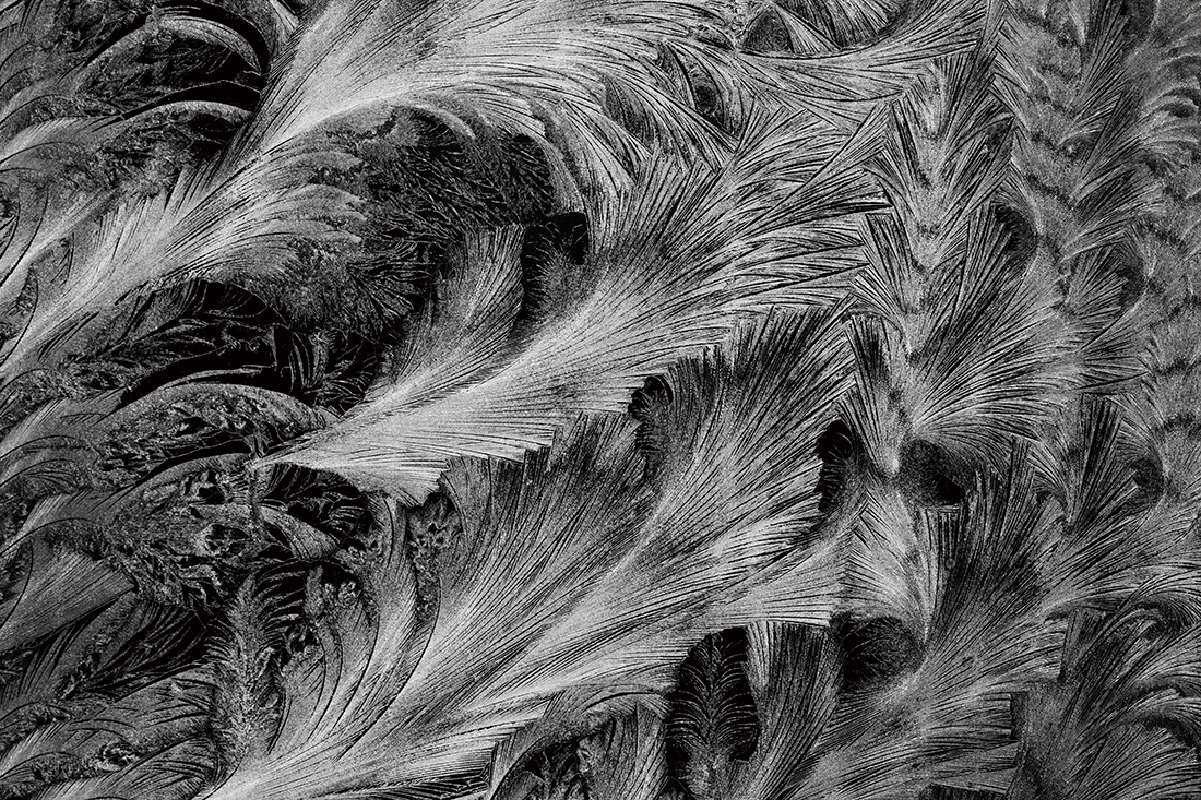 Ice flower