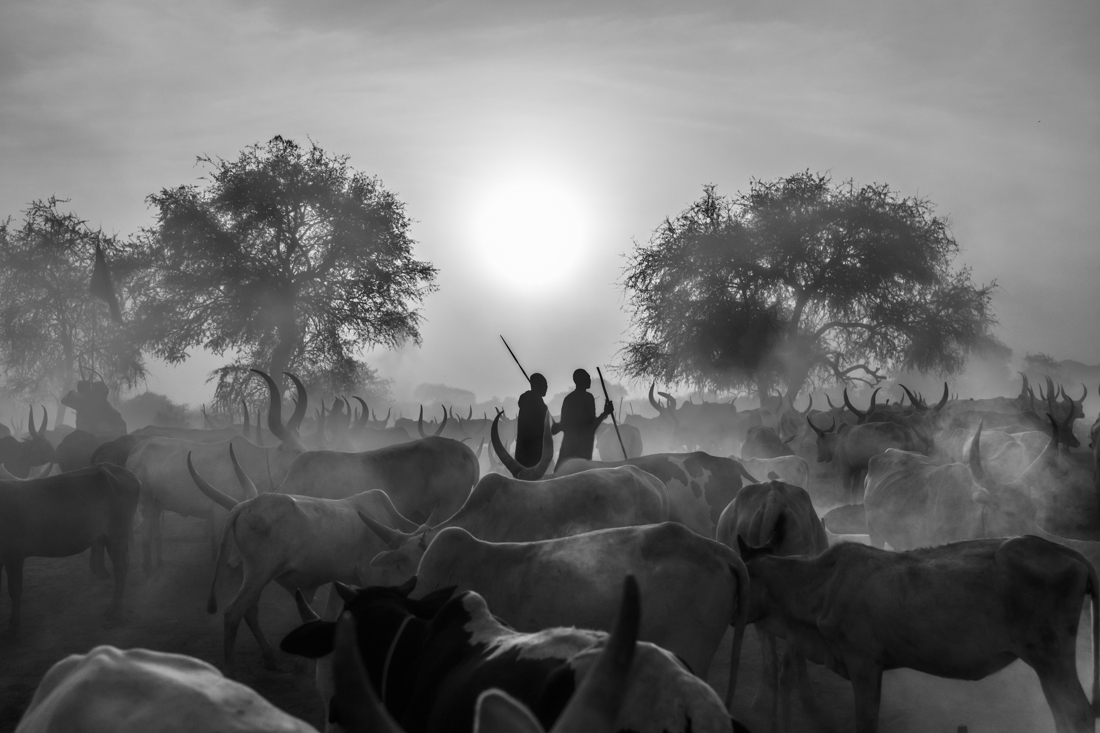 The Mundari