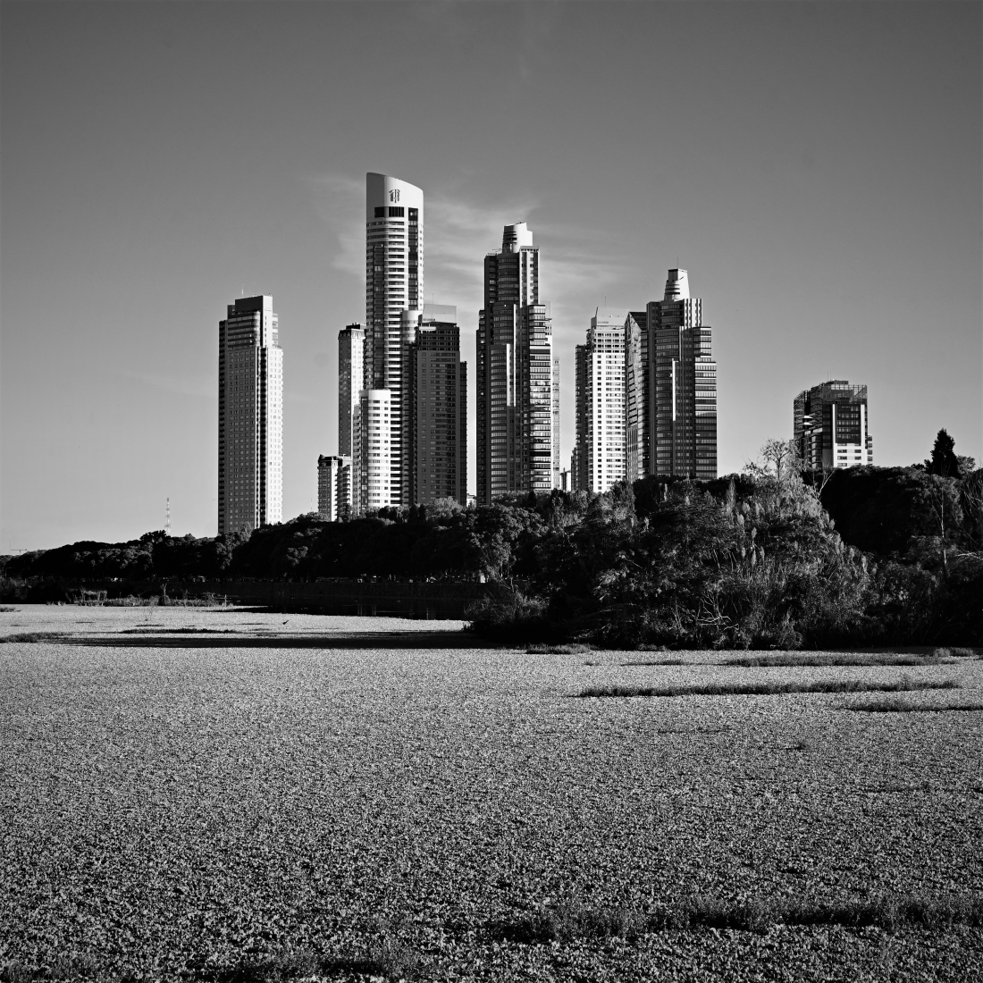 JayCee - Puerto Madero 2