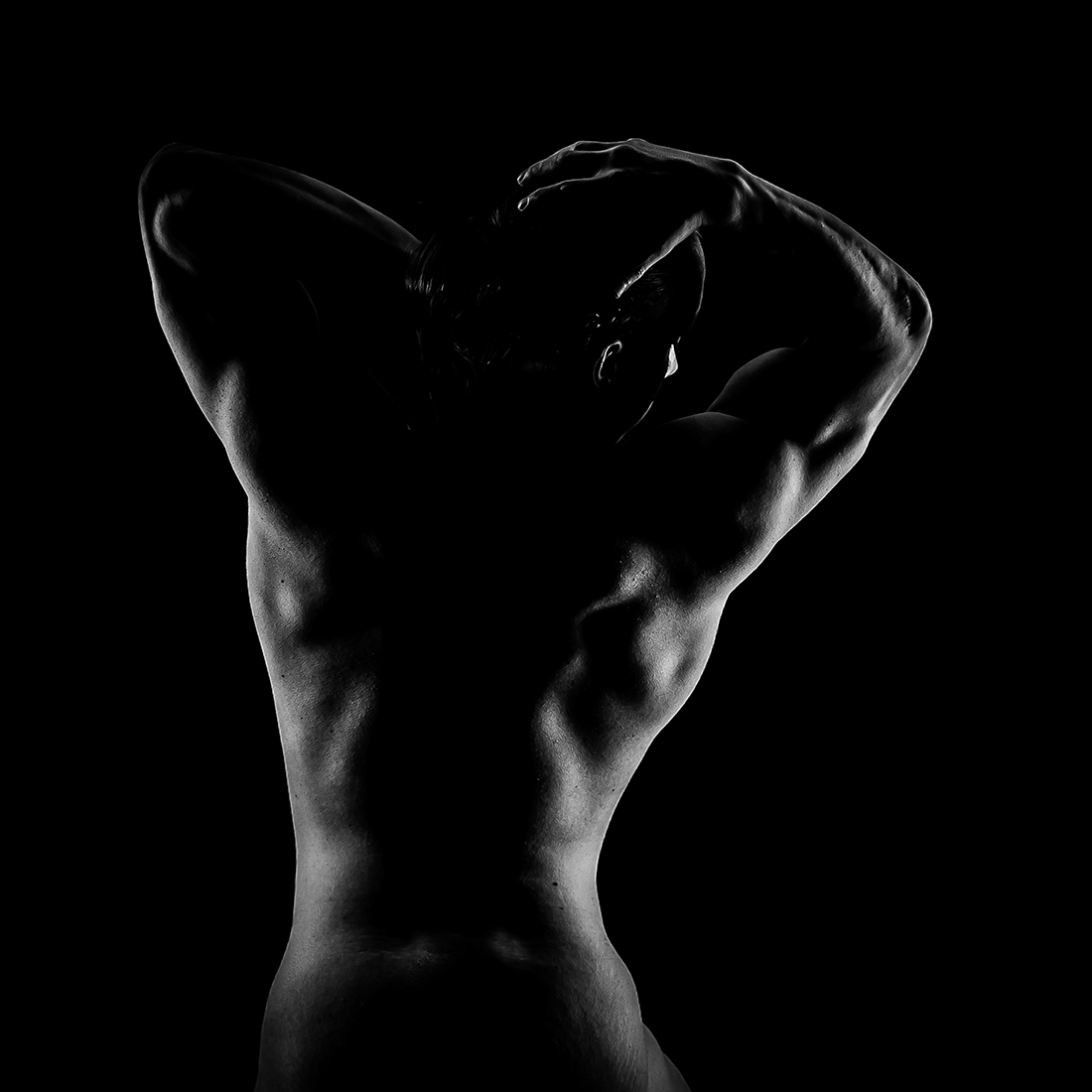 Bodies