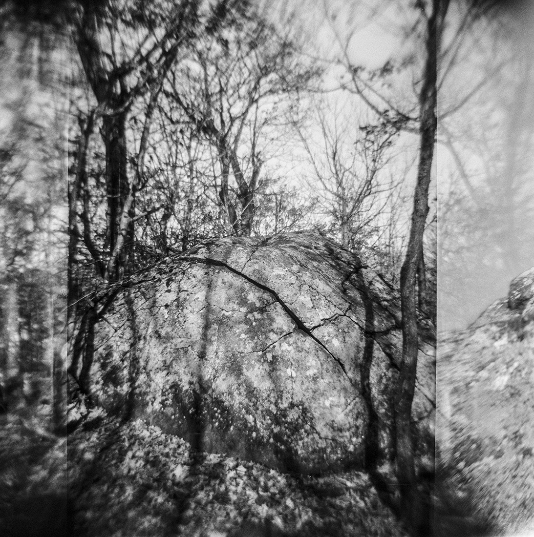 Nature Charcoals