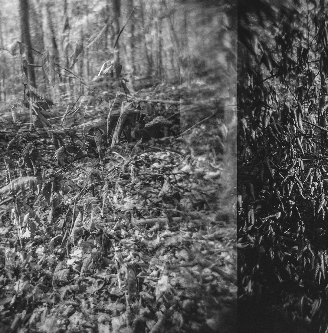 Nature Charcoals