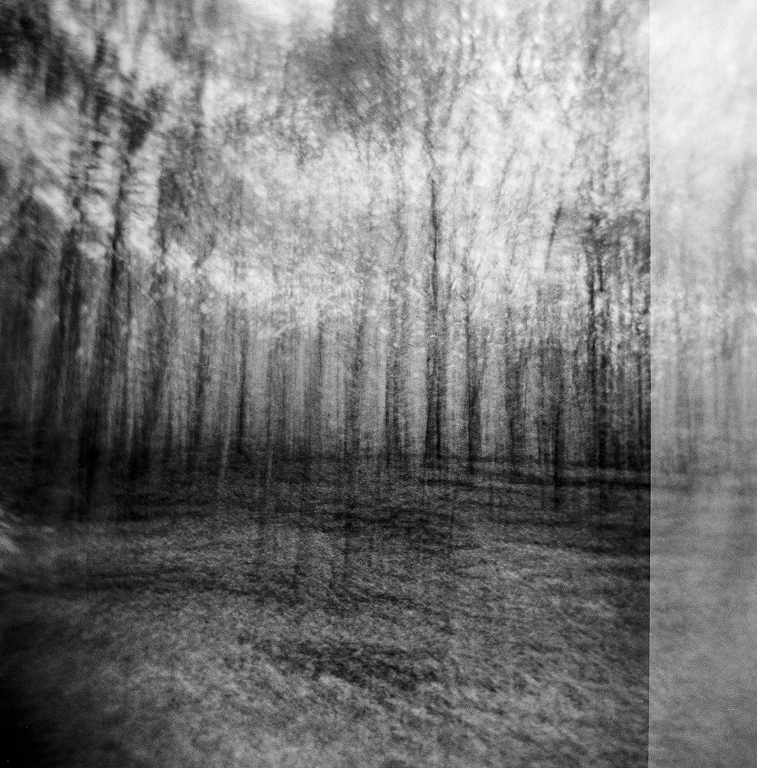 Nature Charcoals