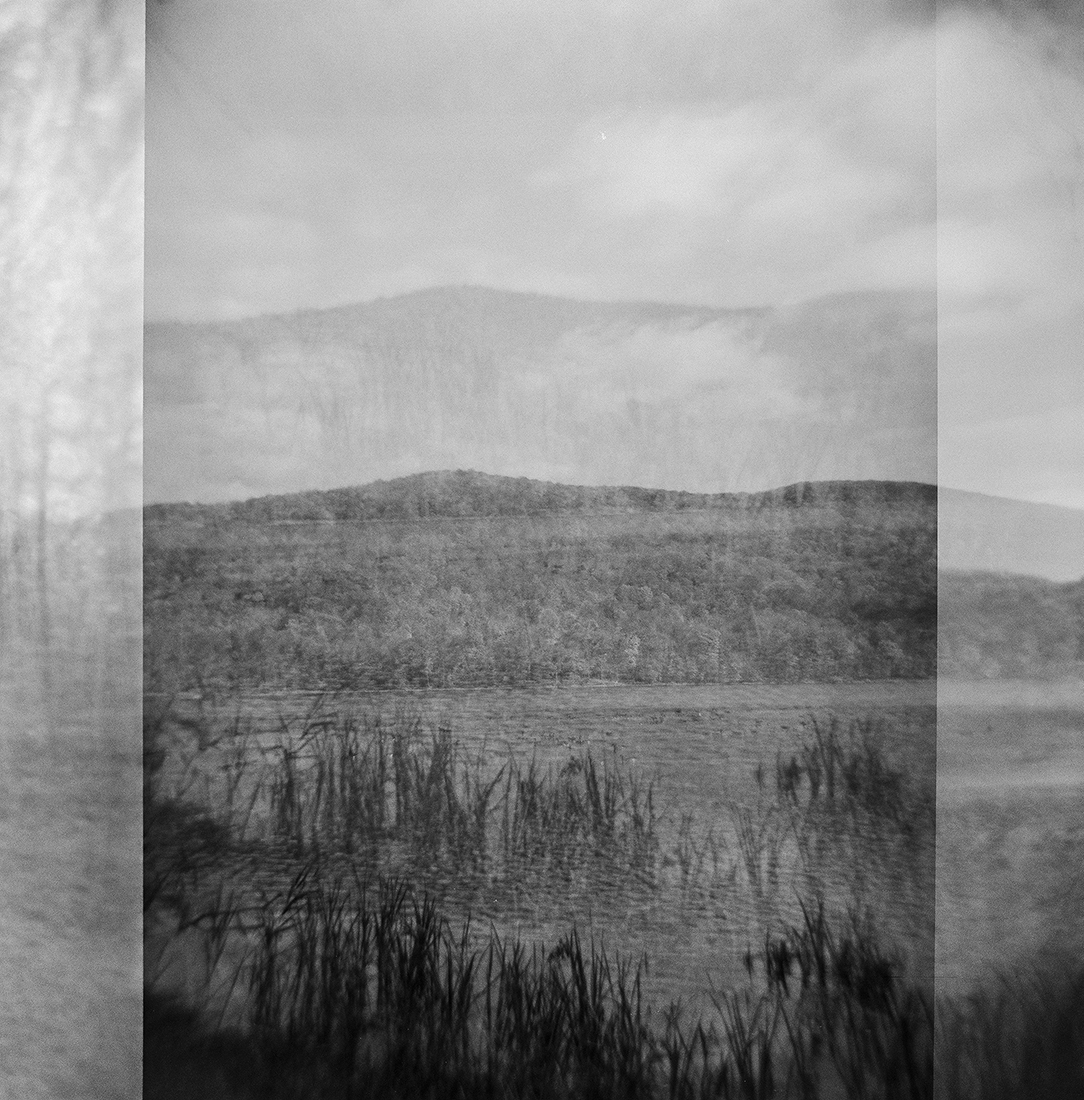 Nature Charcoals