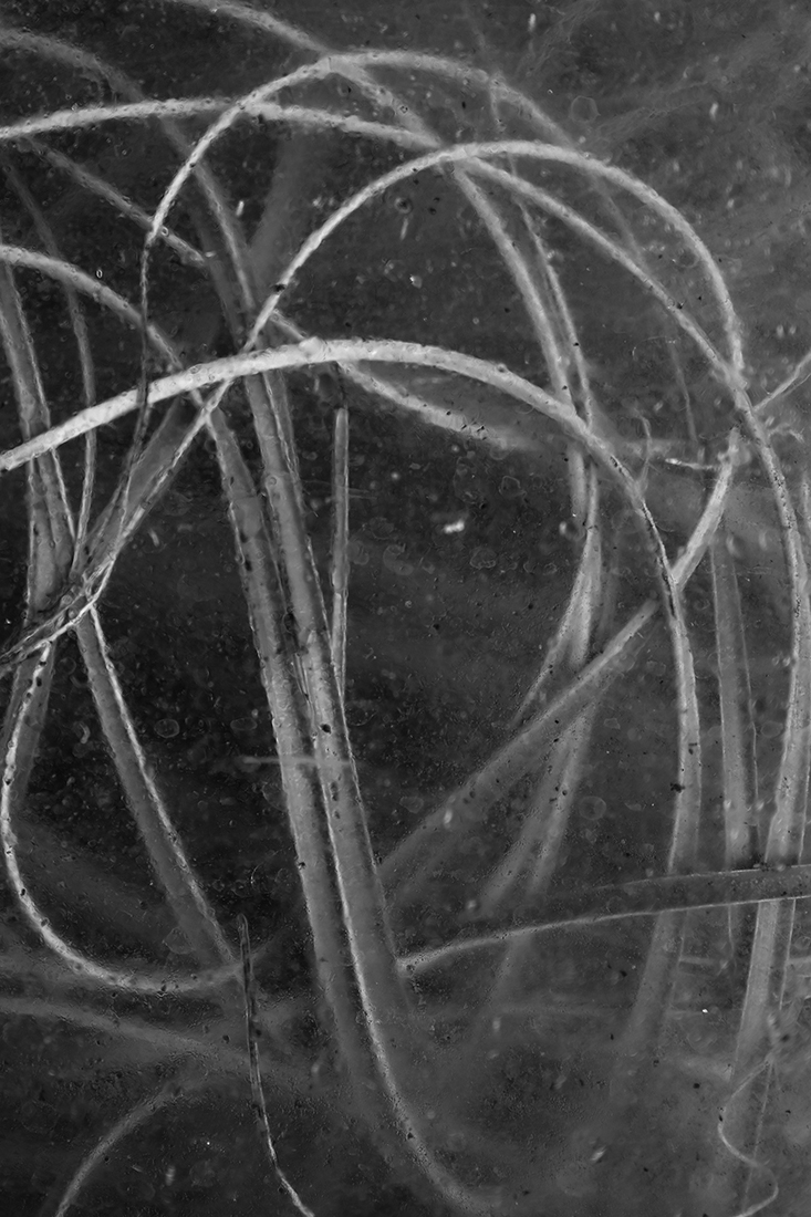 Greenhouse - The inner beauty
