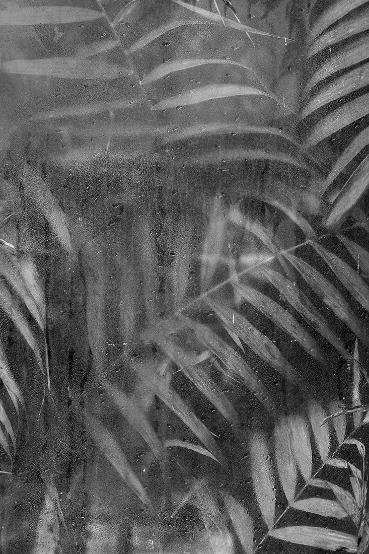 Greenhouse - The inner beauty