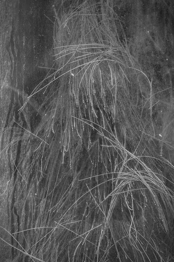 Greenhouse - The inner beauty