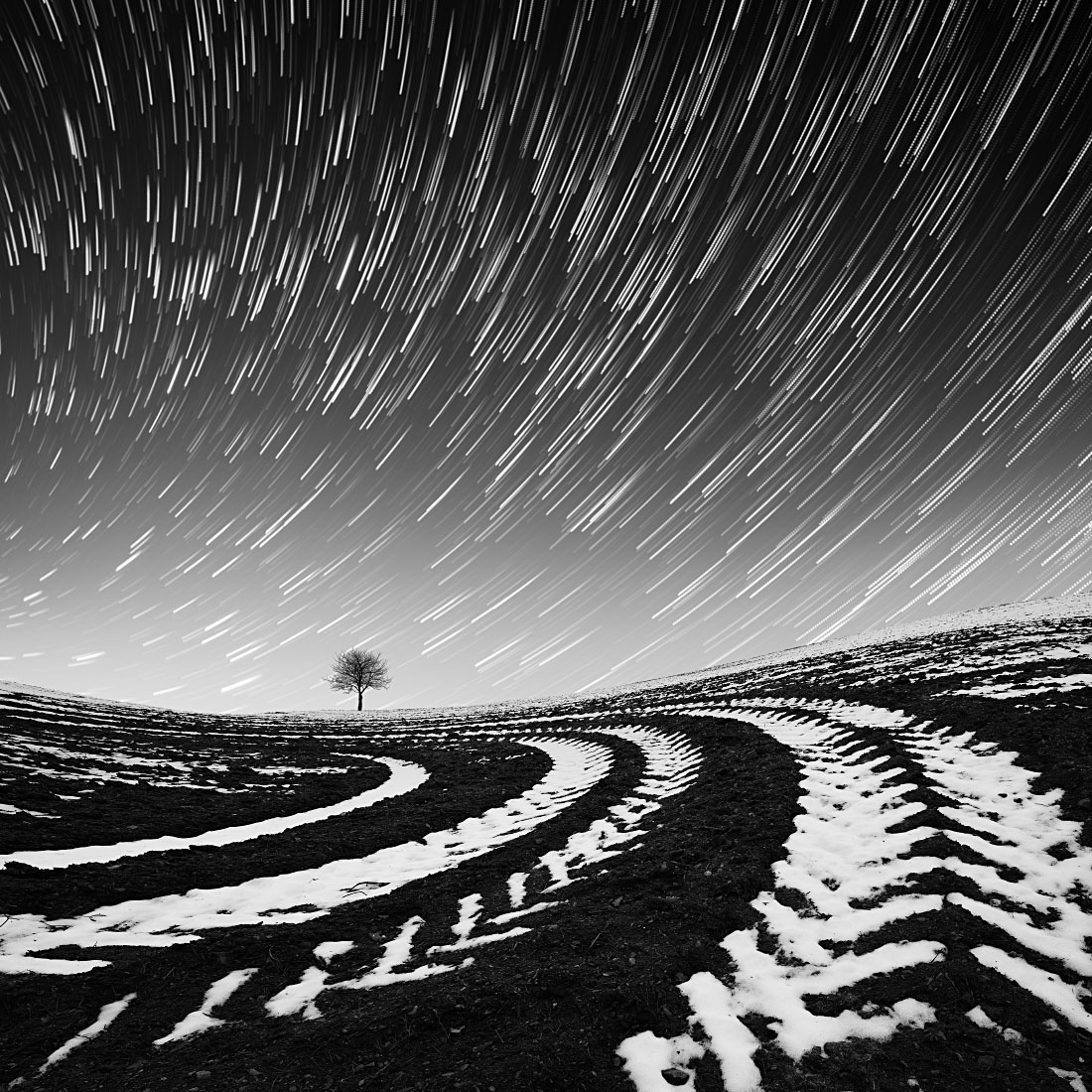 Tracks