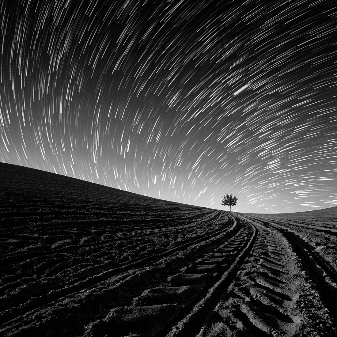 Tracks