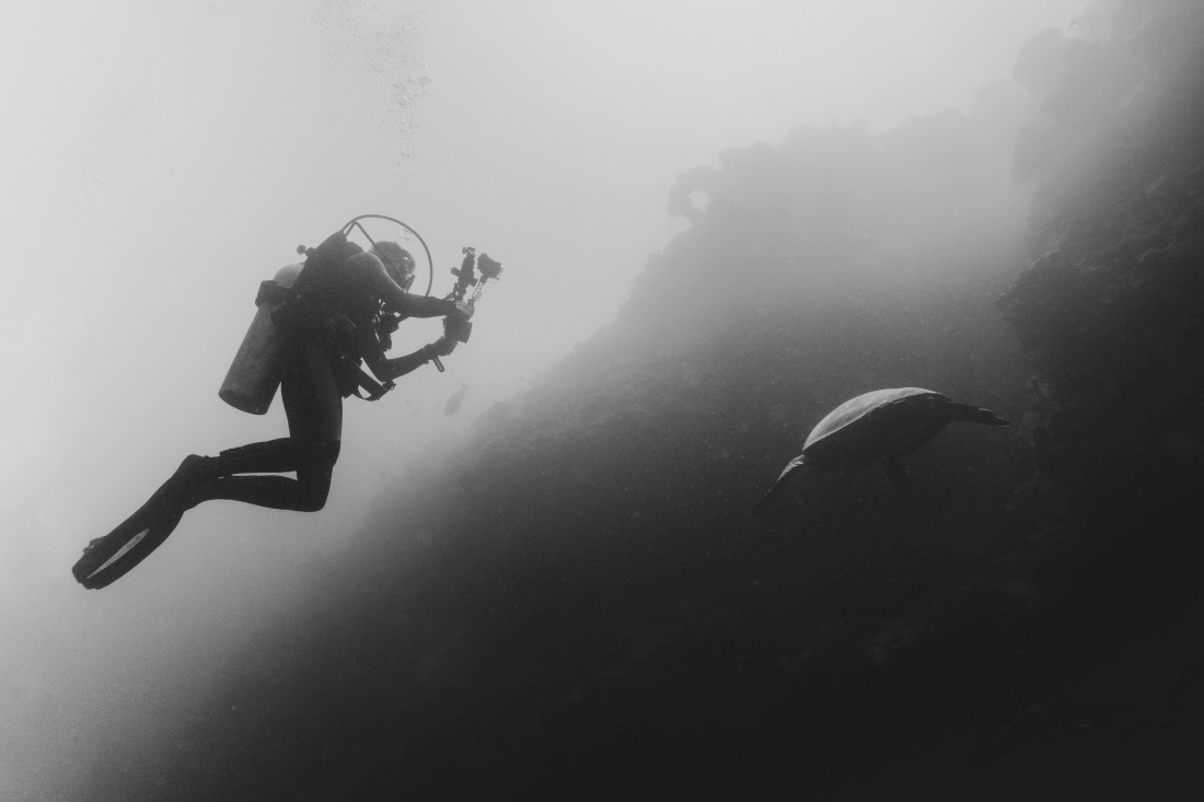 The Encounter