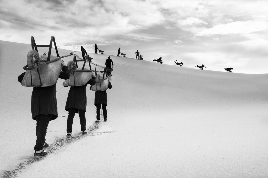 The bandwagon effect