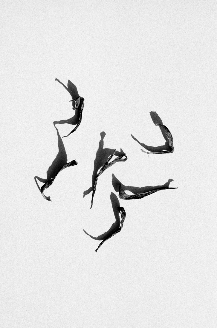 Dancers