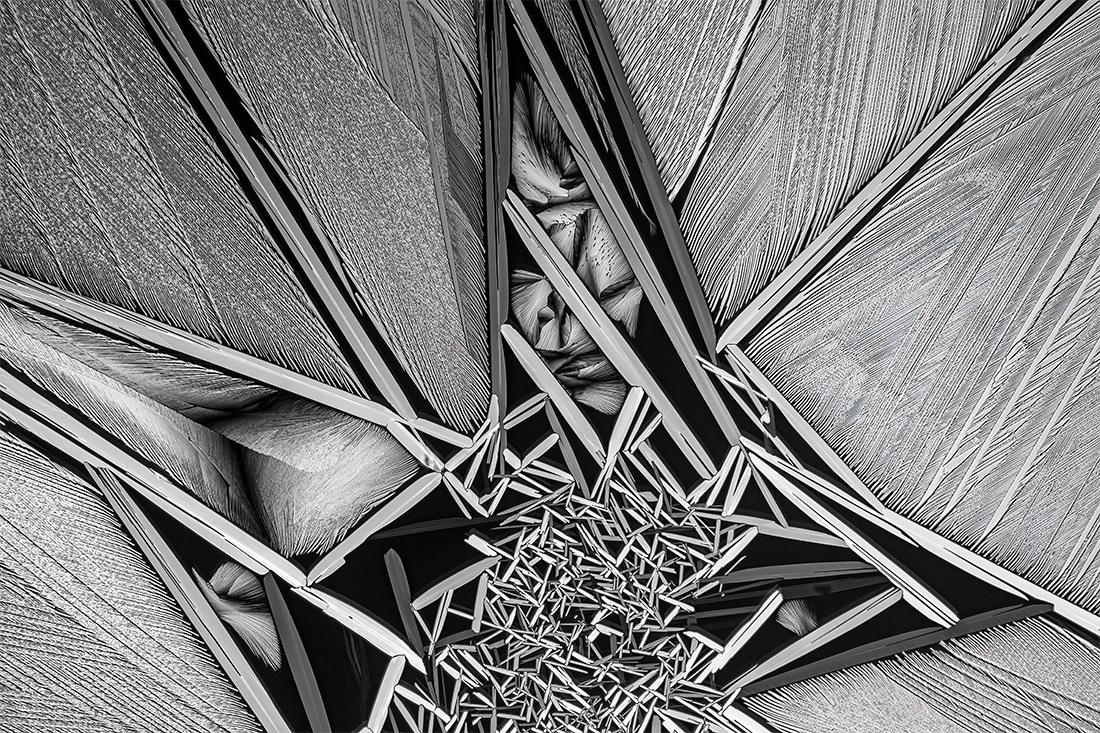 Microcrystals - a crossover between art and science, a melting of urea and paracetamol in polarized light.